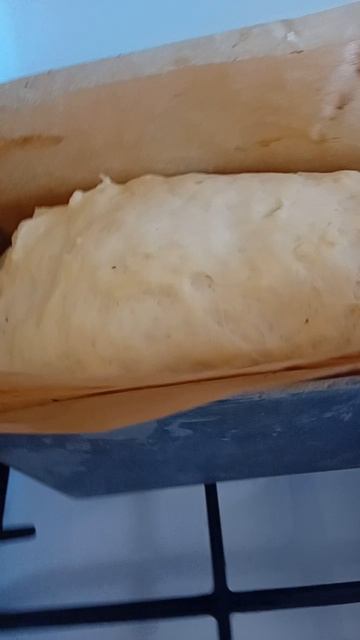 Тесто на хлеб подошло, можно класть в форму. 
Печём домашний  хлеб: это-вкусно