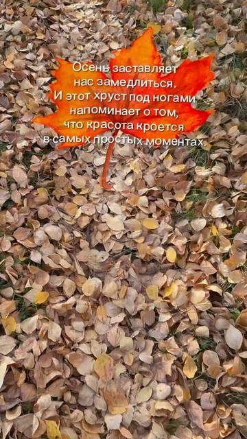 В объективе - жизнь 👀📸❤️