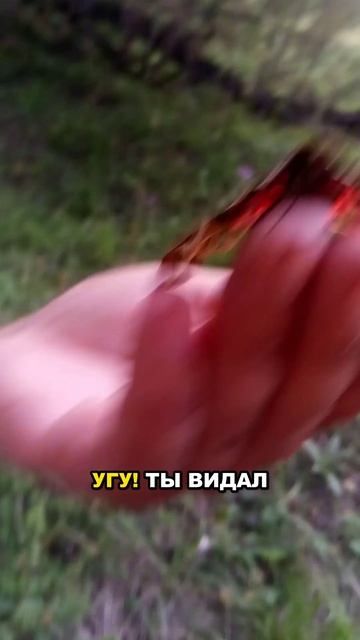 что-это-за-чудовище