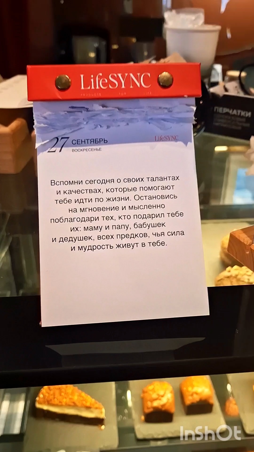 Почему тебе это попалось? Задумайся.. будь благодарен🥰❤️#благодарю #цитата #счастье #любовь #мир
