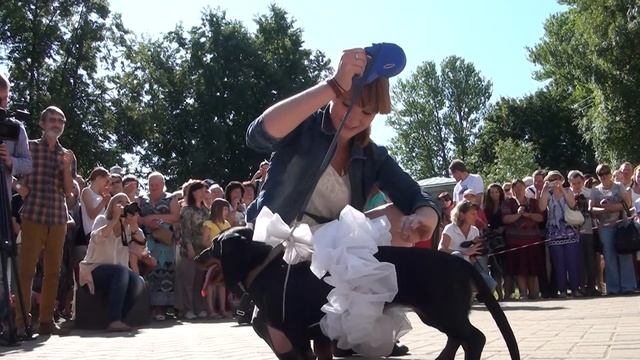 День Зеленогорска - 2013. Таксовка. Часть 2