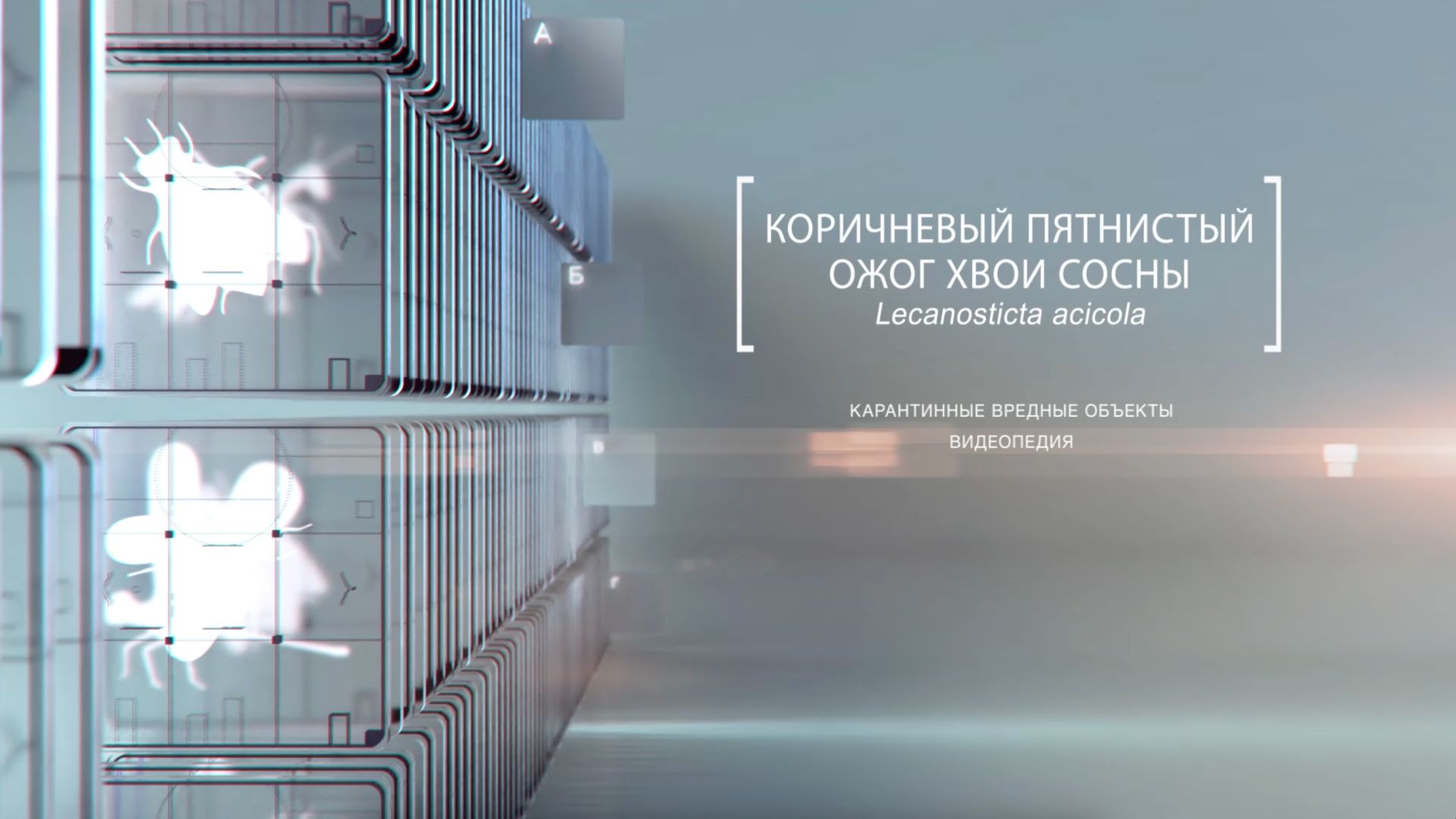 Видеопедия «Карантинные вредные объекты»