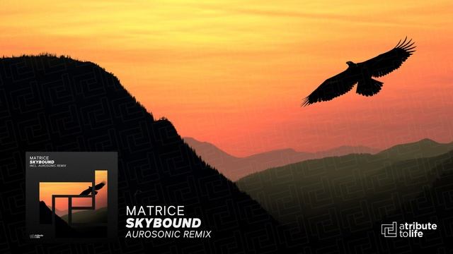 Matrice - Skybound (Aurosonic Remix)