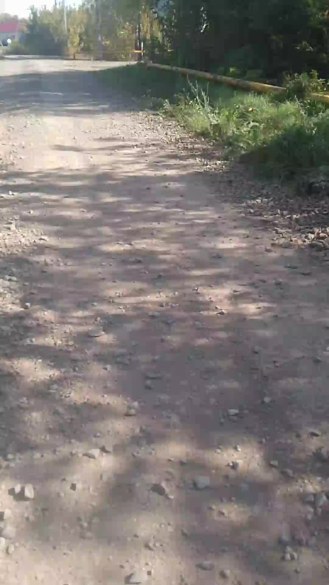прогулка=]
