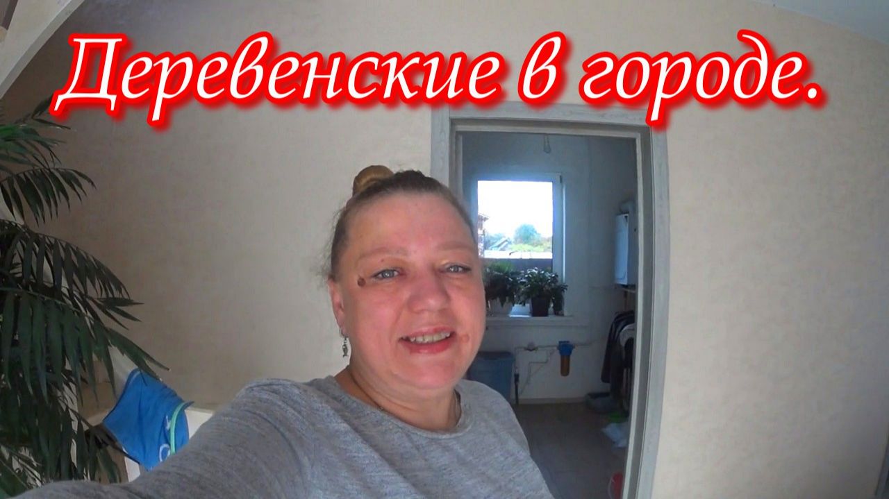 Поездка в Александров. Обзор покупок из фикс прайса и чижика.