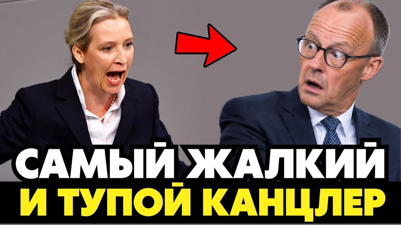 ЗЕЛЯ ОБДЕЛАЛСЯ ОТ ЭТОЙ РЕЧИ ВАЙДЕЛЬ! РАЗМАЗАЛА ЗА ОДНУ ФРАЗУ!