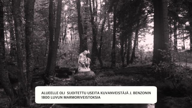 Videokortti 