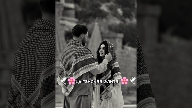 новая 🫀🫂цыганская песнья ❤️🩹2026 года ищют всё выйду 🤌😻в полье загрущю для душы  🫀🫂