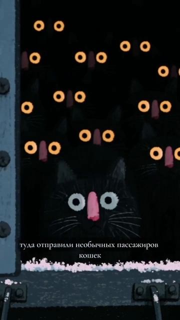 Забытые защитники блокадного Ленинграда
