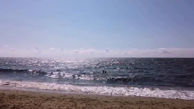 Прогулки зелёного медвежонка. №21, 05.08.2020 г.