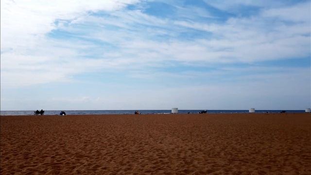 Прогулки зелёного медвежонка. №79, Зеленогорск, 12.06.2021