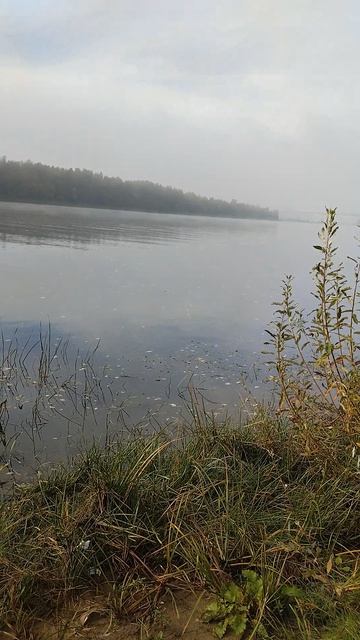 ⚓🚤р Ока.Туман с утра.27.09.2026г.