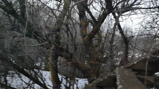 Видео от Фомы