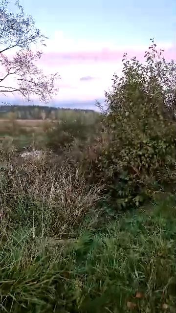 4 цвета облаков. Эфир