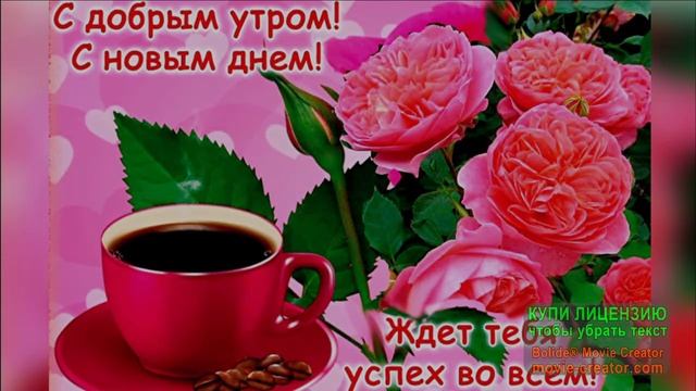 С ДОБРЫМ УТРОМ,ДРУЗЬЯ!