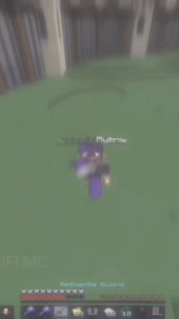 Minecraft edit