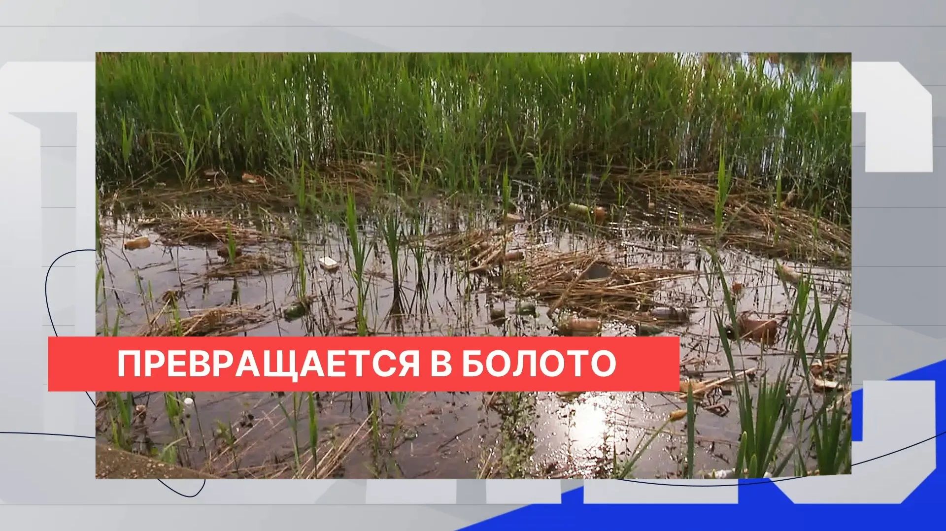 Массовая гибель рыбы подчеркнула проблемное состояние Мещерского озера