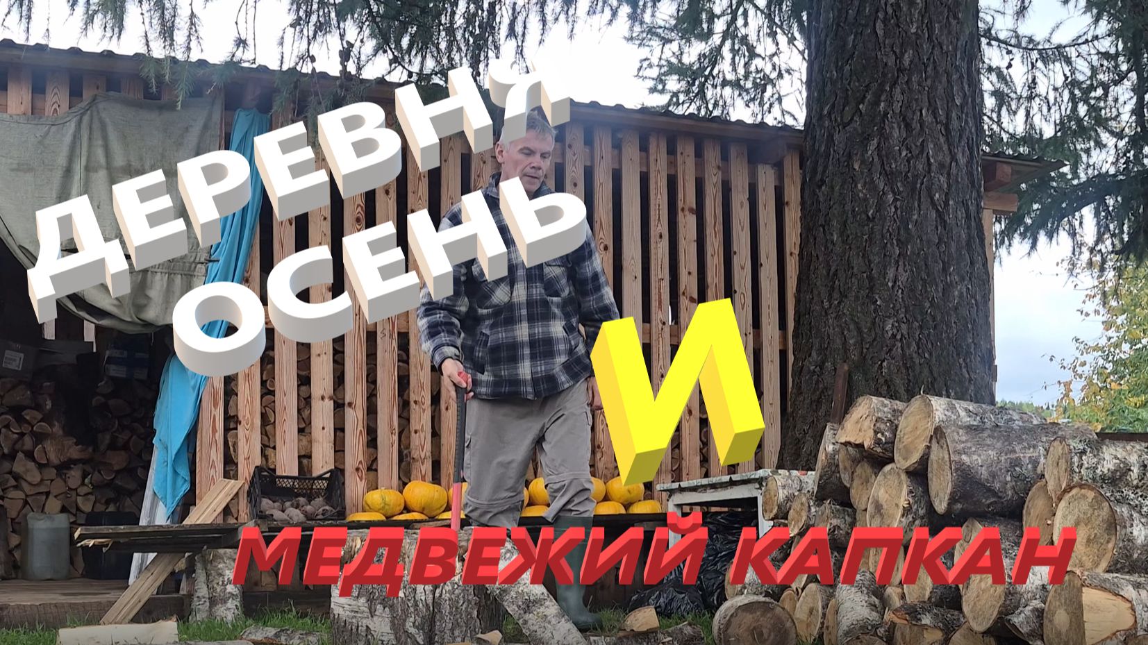 ПУТЕШЕСТВИЯ FS