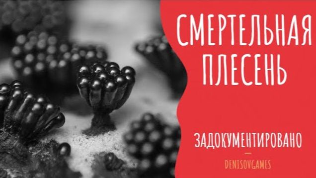 ДОМ СО СМЕРТЕЛЬНОЙ ПЛЕСЕНЬЮ ( Страшная история )
