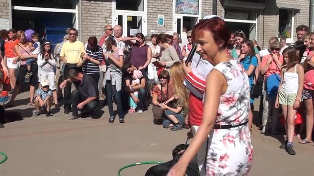 День Зеленогорска - 2013. Таксовка. Часть 1