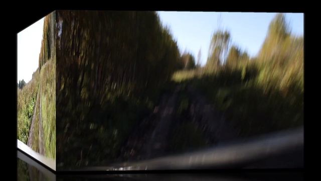 Поехали по грибы.