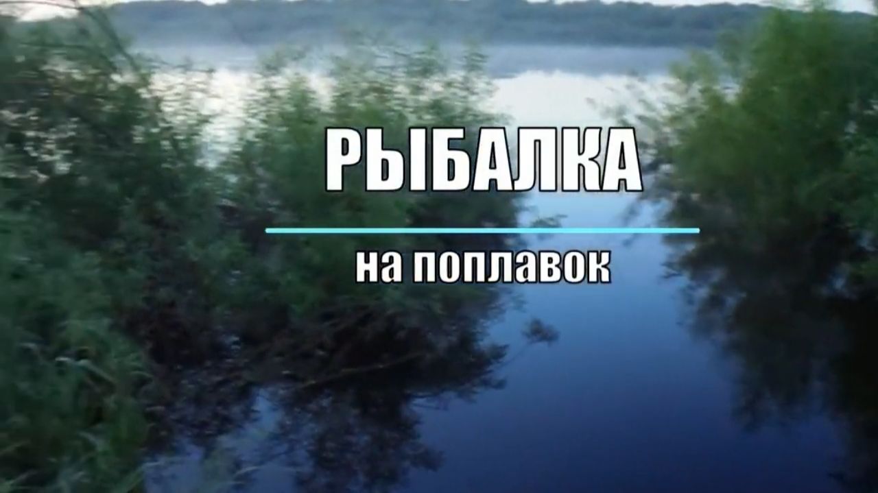 Рыбалка на  поплавок,  Ловля леща и другой рыбы на удочку