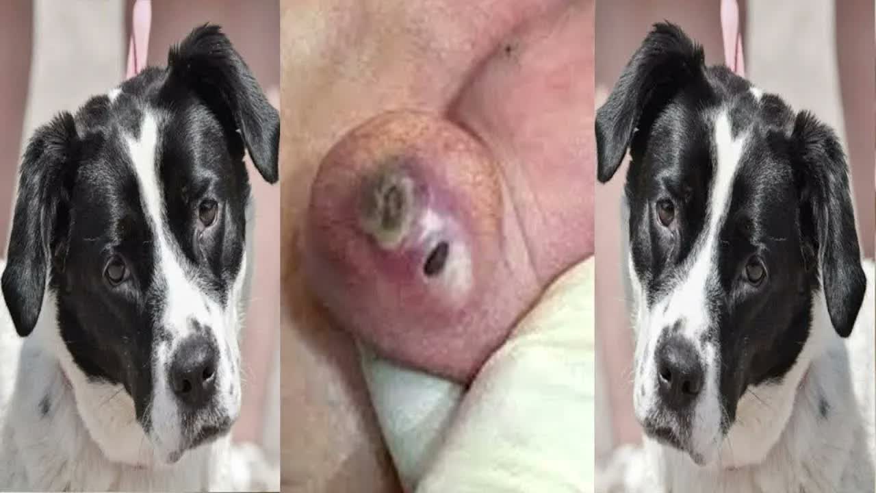 Relax Squeezing Out Blackheads #27 Черные точки