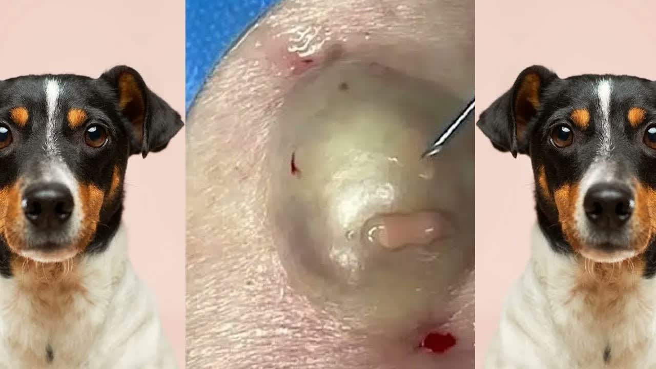 Relax Squeezing Out Blackheads #21 Черные точки