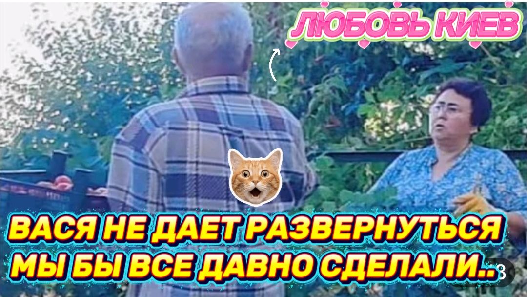 САМВЕЛ АДАМЯН, ЛЮБОВЬ КИЕВ, ВАСЯ НЕ ДАЕТ РАЗВЕРНУТЬСЯ, МЫ БЫ ДАВНО ВСЕ ПРИБРАЛИ.