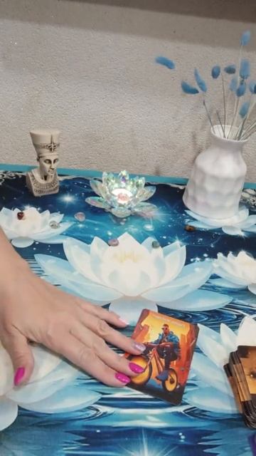 ✨КАРТА ДНЯ!✨😁