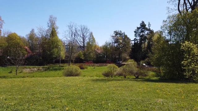 Зеленогорск, 23 мая 2020 г.