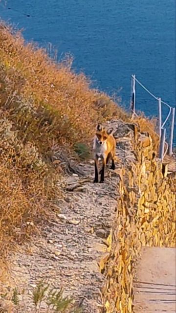 Анапа. Море. Дыхание моря..