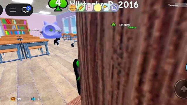 Роблокс Roblox В кошка(6)