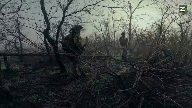 СВО Запорожье  Раннее Утро