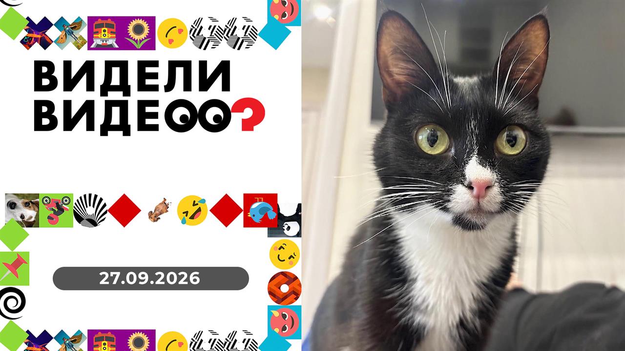 Видели видео? Выпуск от 27.09.2026