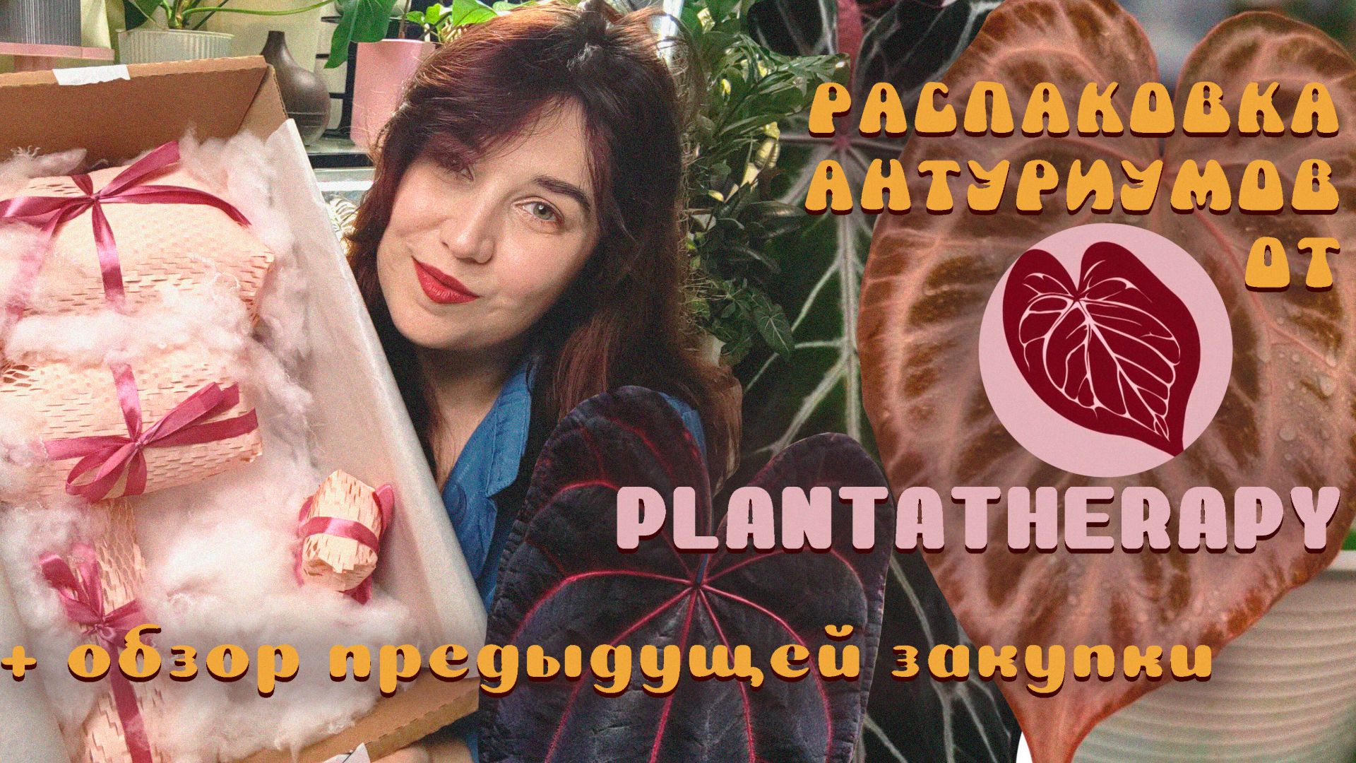 Распаковка АНТУРИУМОВ 💚I Plantatherapy I Обзор предыдущей закупки