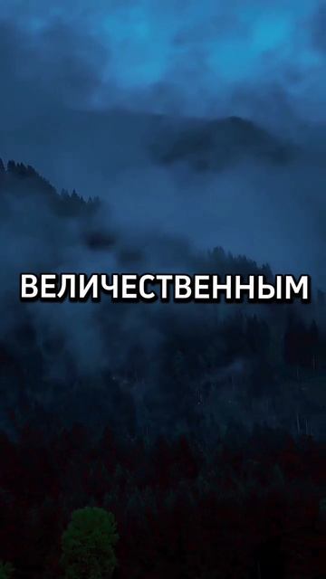 ЭЛИКСИР НОВОГО ДНЯ