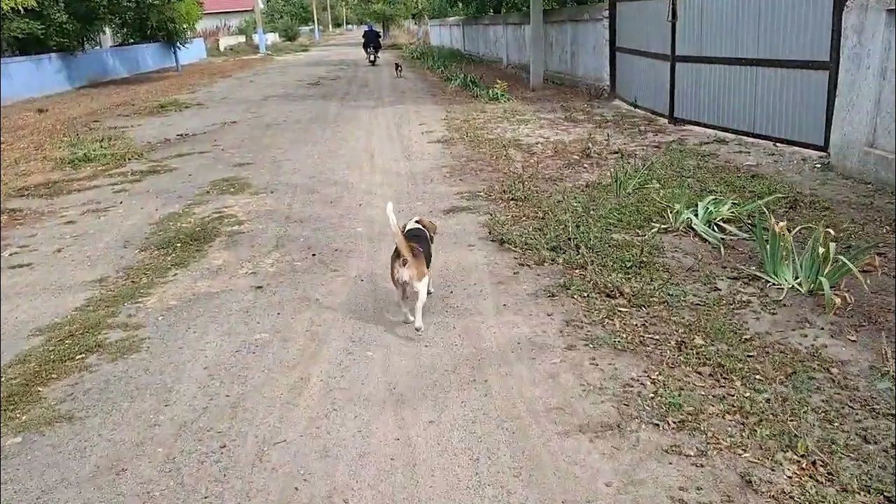 Официально Я. 26 сентября 2026 г.