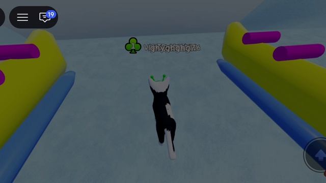 Роблокс Roblox В кошка(5)