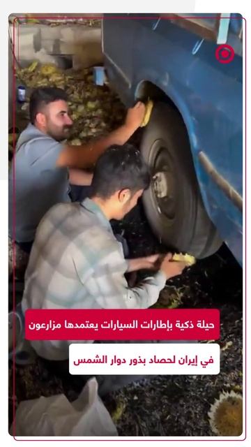 شاهد كيف يختصر مزارعون في إيران ساعات طويلة من العمل الشاق في حصاد بذور عباد الشمس .