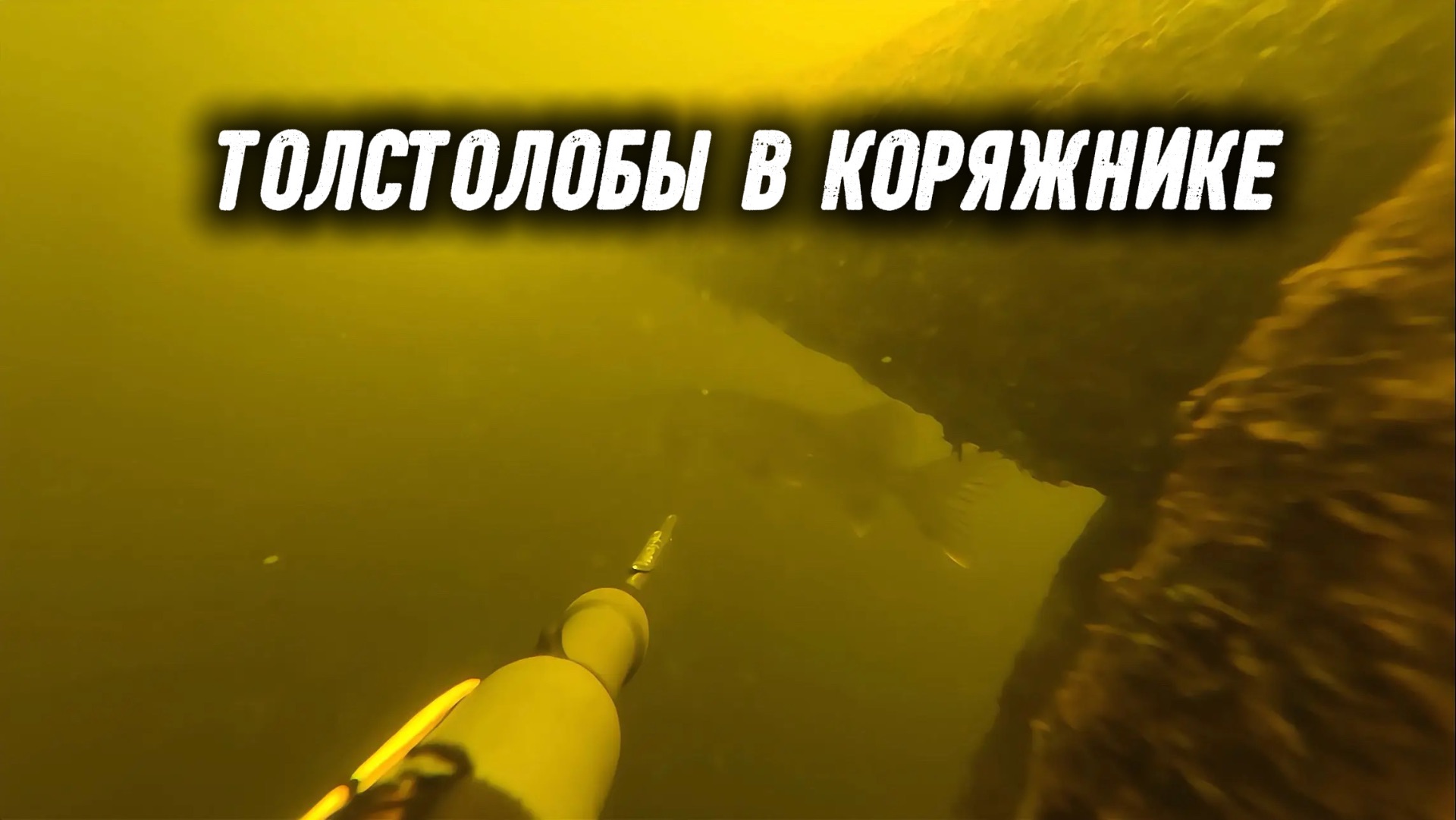 Подводная охота