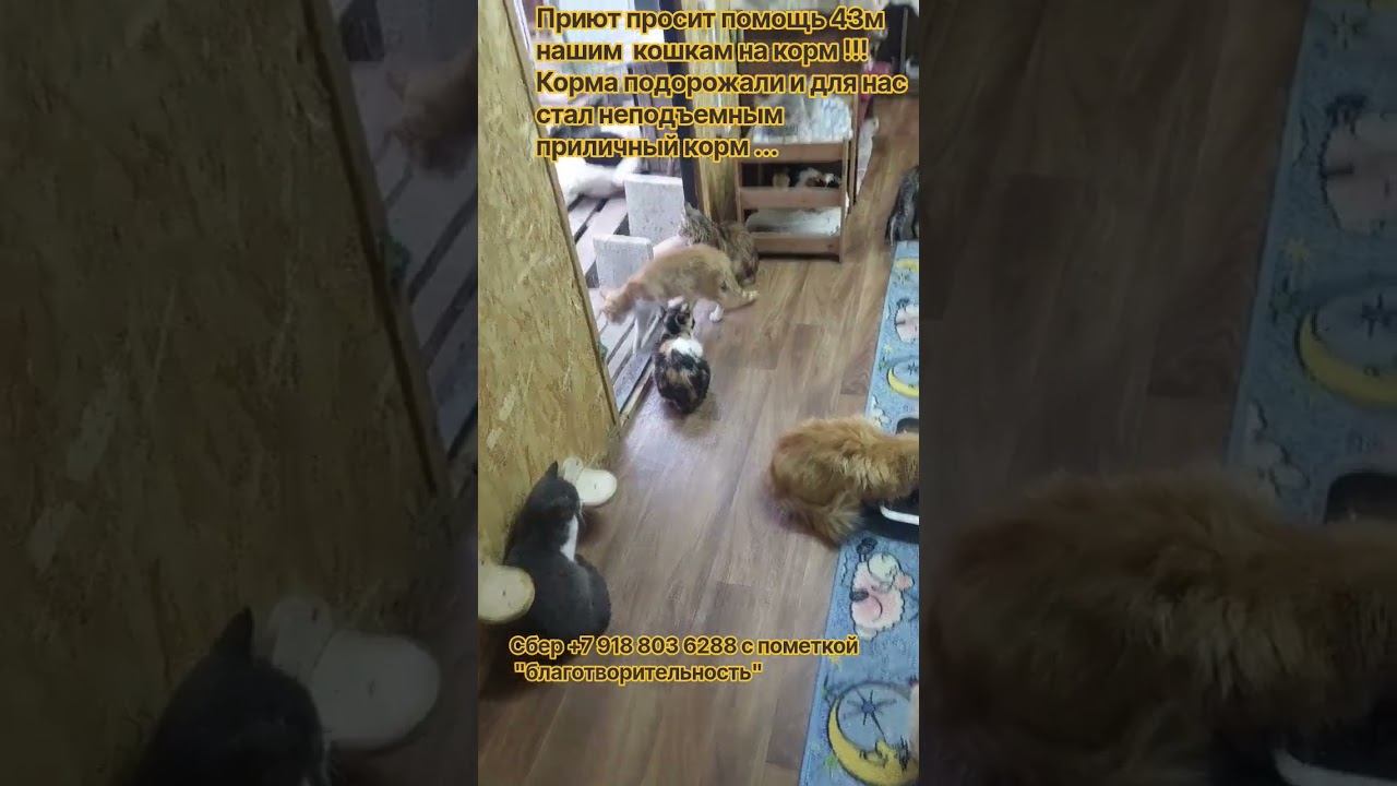 27 сентября 2026 г.