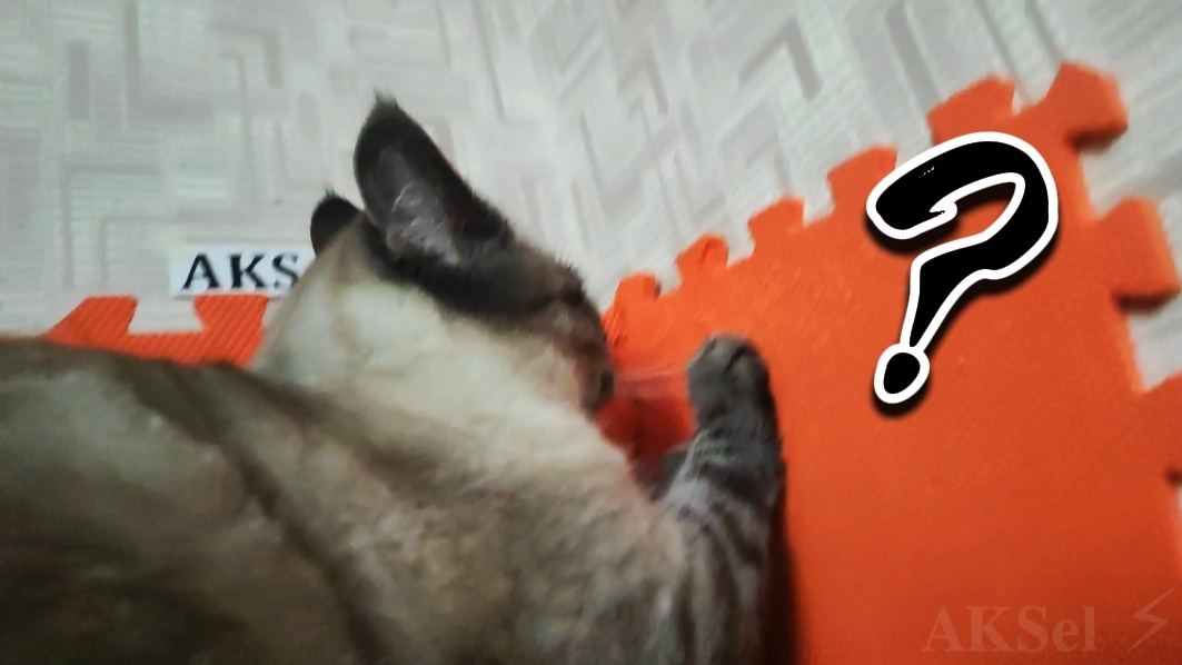 🔥🤠🤟 Аксель разбирается с его спальным местом ☺️🤩😅