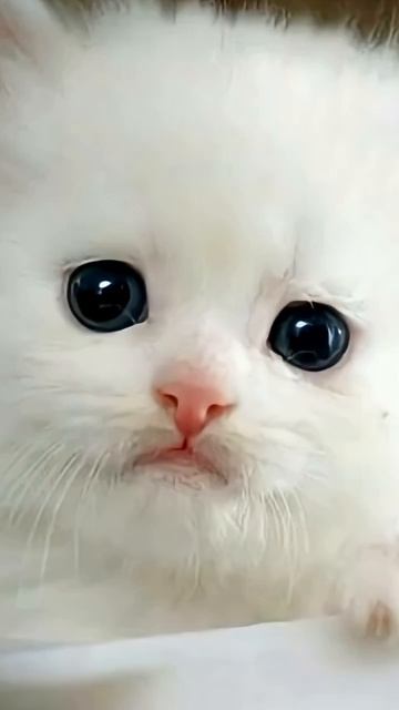 Я такой печалик