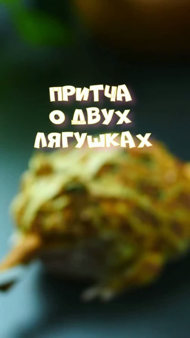 Песни, стихи, мотивация