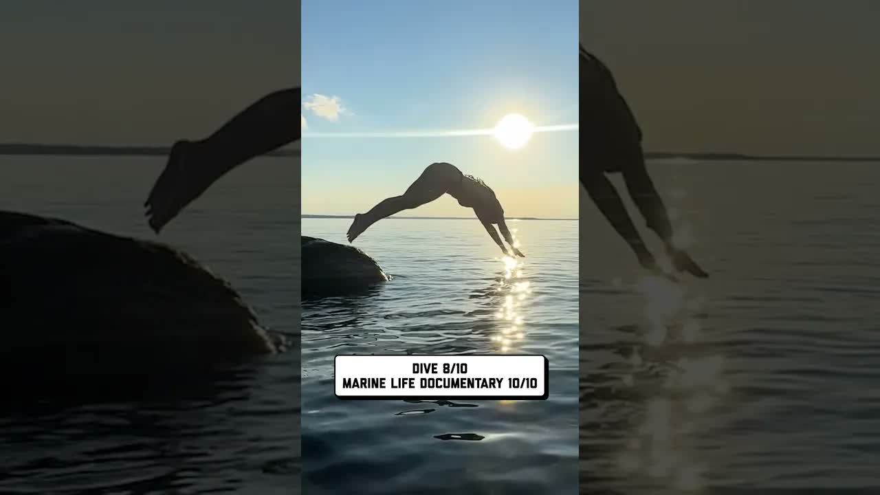 Присоединяйтесь к исследованию русла реки 🐟 🤣