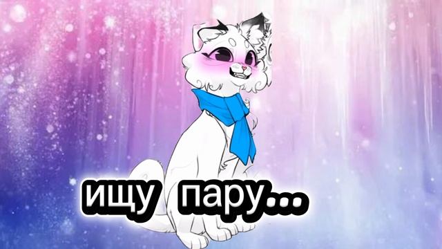ищу пару по кв мужского пола...