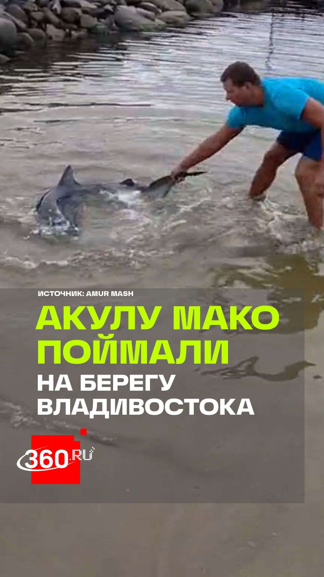 Охотник голыми руками поймал двухметровую акулу во Владивостоке
