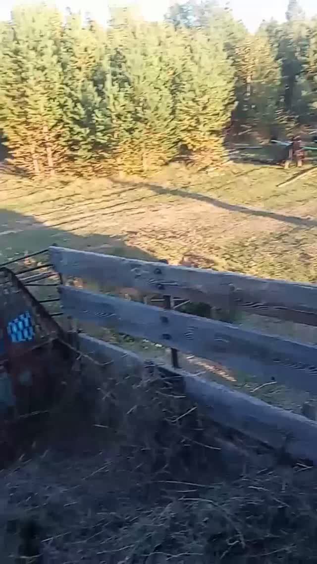 Видео с нашей фермы