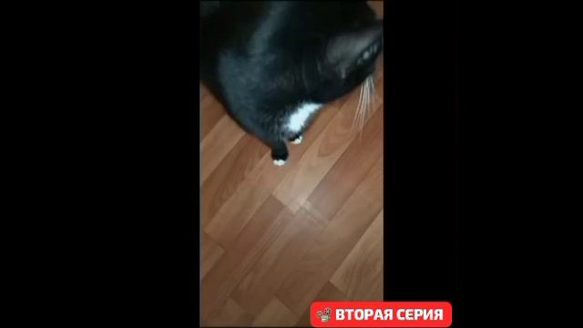 🧇Вторая серия 